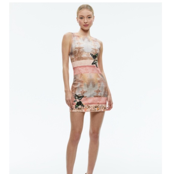 Alice + Olivia Dresses & Skirts - Beautiful Alice and Olivia dress